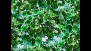 Windy & Carl - Emerald