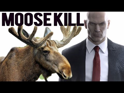 Hitman - Episode 3: Marrakesh - Moose Assassination (Prime Time Opportunity)