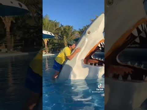 vilões do canal da belinha  dansando tubarão te amo