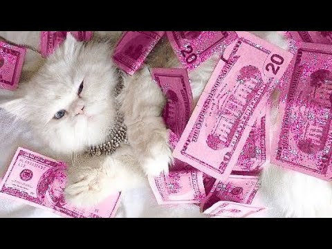 ¡ LEY DE ATRACCIÓN A TU FAVOR 🧲 ! (RESUBIDO) — Gio's Dimension.