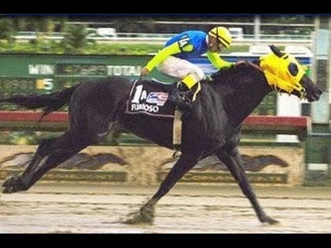 FURIOSO - COPA VELOCIDAD 2005