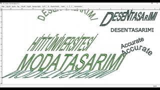 Desen Tasarımı - Accurate 4 Yazı Yazma/Düzeltme