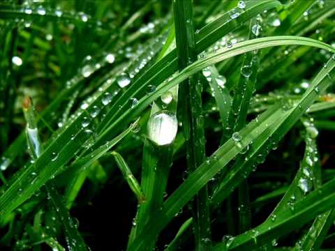 Velvetine - Safe (Wherever You Are) Rank 1 remix FULL Version