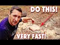 How To Remove A Tree Stump. Quickest and Easiest Method!