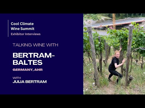 Weingut Bertram-Baltes (Germany, Ahr) - Cool Climate Wine Summit Exhibitor Interviews