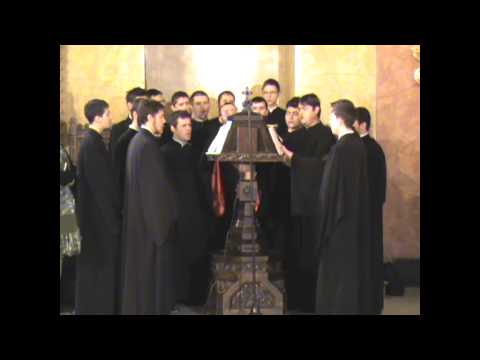 Melozii Romanului - Sfânta Liturghie - Heruvic gl. III de Grigorie Protopsaltul