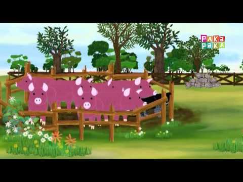 Animapaka II: Perro (Cap. 20) - Canal Pakapaka