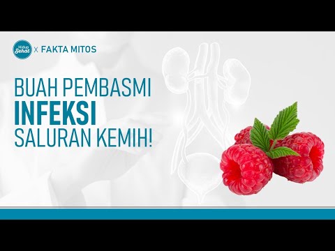 Gejala dan Cara Alami Mengatasi Infeksi Saluran Kemih | Hidup Sehat tvOne