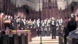 HCC Jennifer's Rabbit