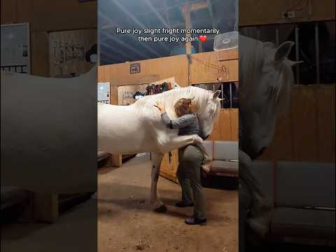 When your horse reciprocates in love.🥰🐎#horse #farm #funnyhorse #horsegirl #animals #love #funny