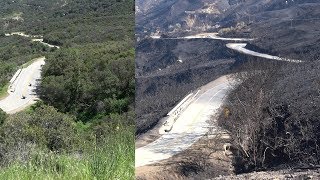 Mulholland Snake Fire Damage  - Raw Video