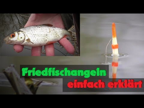 Coarse fishing explained simply - Sitting with float, corn, maggot and worm - Make your own bait