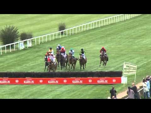 KV, 25. 4. 2015, 6. dostih - Dostih Frey Consulting - Frey Consulting Rennen