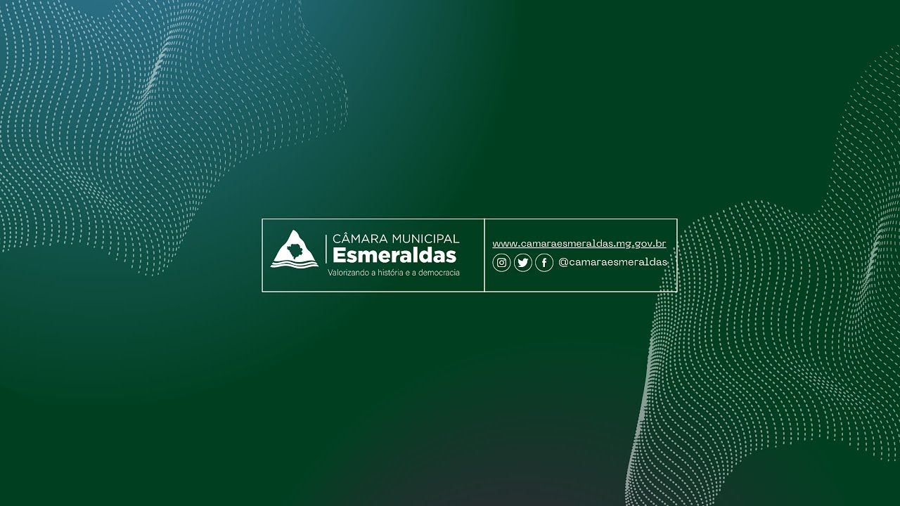 Reunião Ordinária de Plenário - 19/11/2024