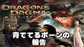 (21) DDDA ドラゴンズドグマダークアリズン　　リム集めが大変