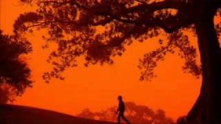 Starsailor - Love is here (sub. español)