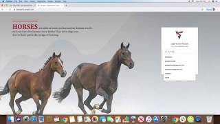 VetExperts: Login, Register New Client and New Patient
