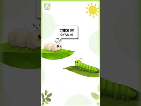 Gyan AI video thumbnail