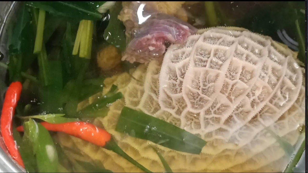 Gân Bò Hầm Sả