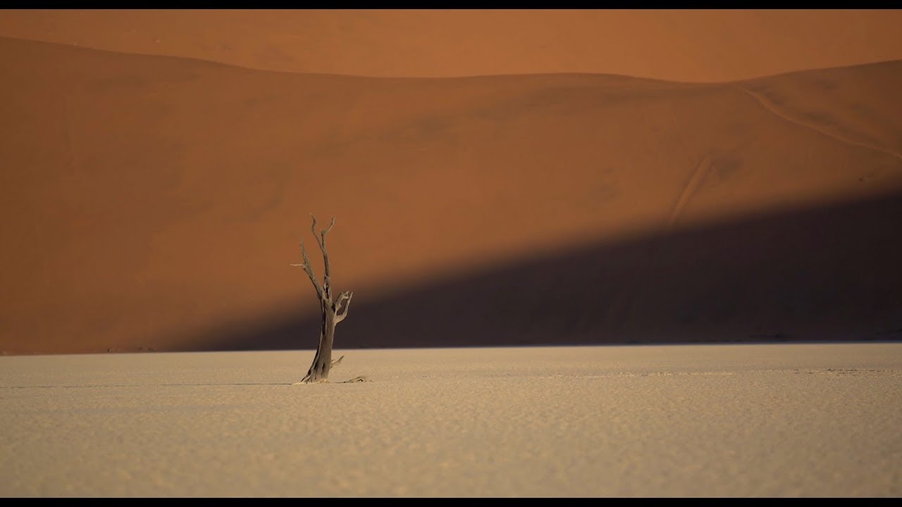 IDFA 2017 | Trailer | In Praise of Nothing