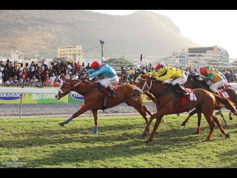 Rasta Rebel - The Trackriders Challenge Trophy