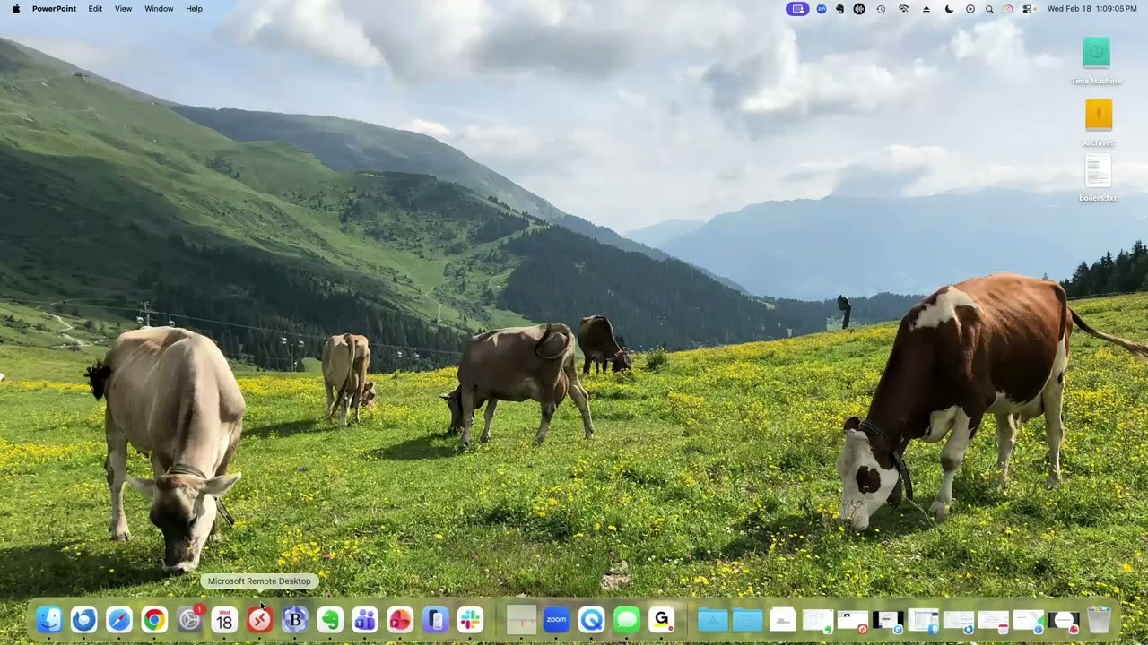 AI Features in Alpha Anywhere 18 Feb 2026