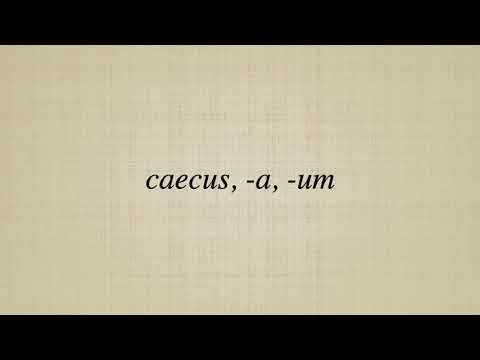 caecus,  a,  um