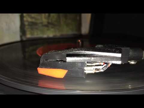 The lion sleeps tonight