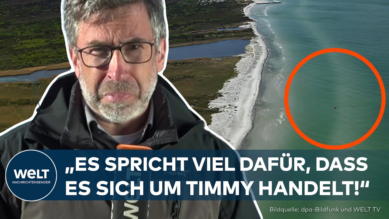 UNHEIMLICHER FUND IM MEER: Rätselhafter Wal-Kadaver löst Sorge um Timmy aus!
