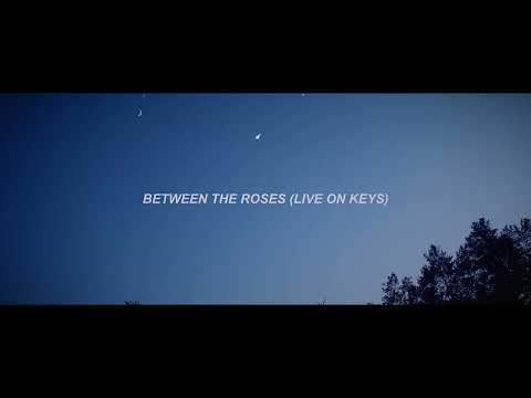 SayWeCanFly - "Between The Roses" (Live On Keys)