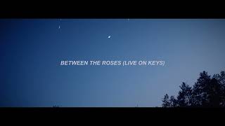 SayWeCanFly - &quot;Between The Roses&quot; (Live On Keys)