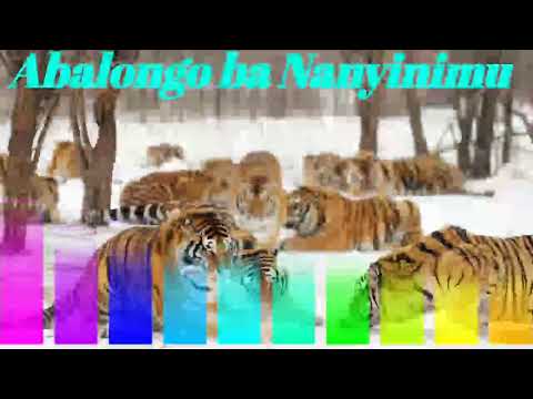 Abalongo ba Nanyinimu - Omulangira Jjuuko Munnabuddu