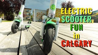 ELECTRIC SCOOTER FUN in Calgary