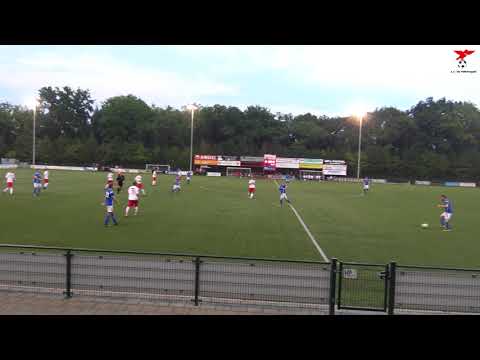 s.v. de Valleivogels - de Merino's