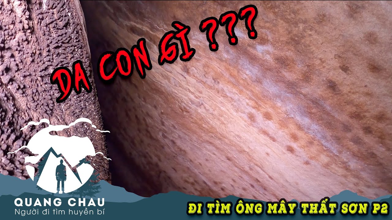 Bất ngờ tìm thấy "Trái Tim Xanh Phụng Hoàng" trong hang sâu Phụng Hoàng Sơn | Hang Rắn Molrut P2
