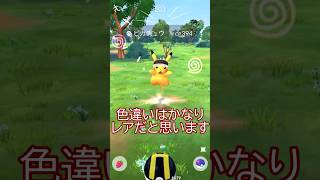 ⚠️限定入手‼️マラソンピカチュウ個体値ガチャ🐭✨ #ポケモンgo #pokemongo #pokemongoshorts