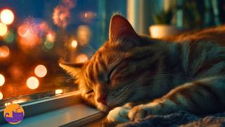 Bonfire Night Noise Anxiety Relief Music for Anxious Cats - CALMING AID 🐱🎇