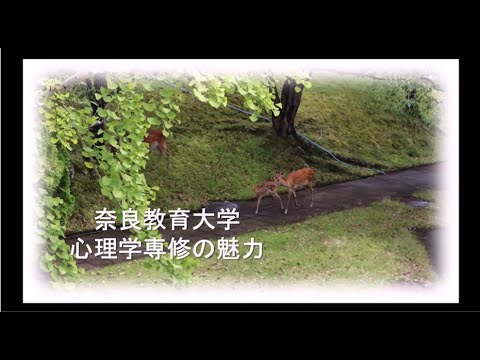 心理学専修PR動画
