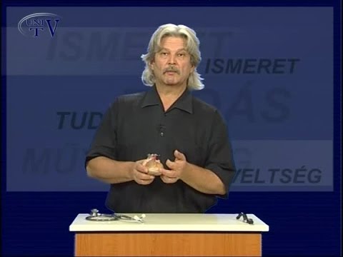 papp lajos a magas vérnyomásról homoktövis kéreg magas vérnyomás esetén