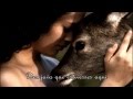 Bliss - Wish You Were Here (traduçao) 