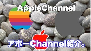 【チャンネル紹介】アポーChannel開設！Appleなどのガジェット紹介、豆知識、ゲーム実況などを投稿していきます！