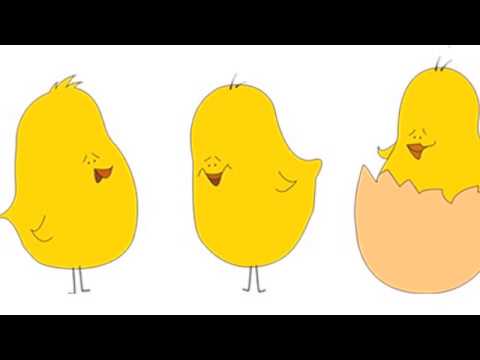 Los Pollitos - Canción Infantil