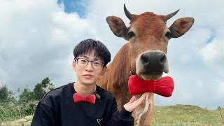 To Help Our Fan Find His Cow, We Built This...