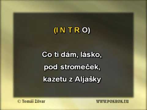 Co ti dám - Vladimír Mišík, DEMO, ukázka Karaoke, instrumental z www.svetkaraoke.cz