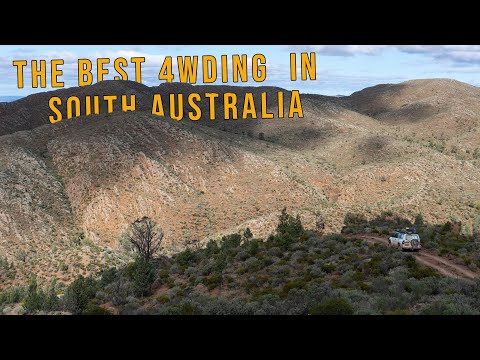 The Bendleby Ranges || South Australia's Finest