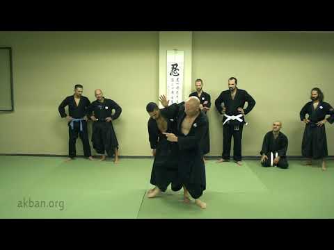 Gan Seki Nage skill set - Yossi Sheriff
