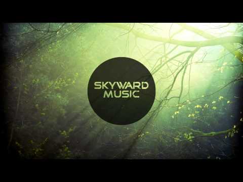 Friendzone - Chasing Paradise (feat. Tyler Fiore) [Original Mix]