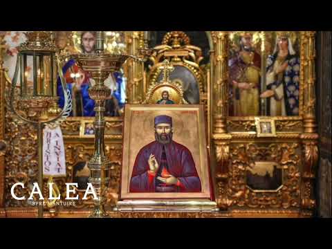 ACATISTUL SFANTULUI EFREM CEL NOU GRABNIC IZBAVITOR DE BOLI SI NECAZURI