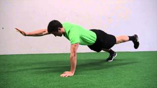 608. Bird Dog (Hands)