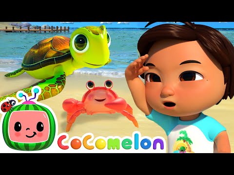 Can You Find The Sea Animals? | Beach Play | Summer Time Cocomelon | Nursery Rhymes & Kids Songs